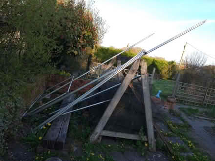 Photo of free raspberry cage (Avebury SN8) #2