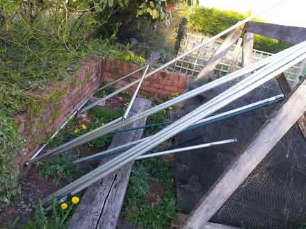 Photo of free raspberry cage (Avebury SN8) #3