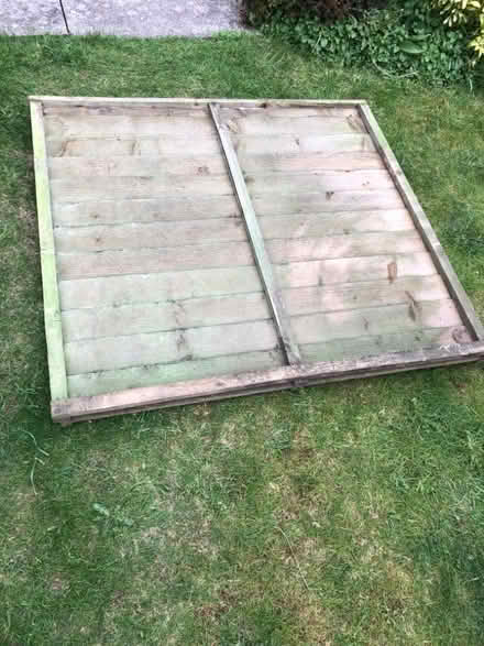 Photo of free Fence panels (Lodge Moor S10) #1