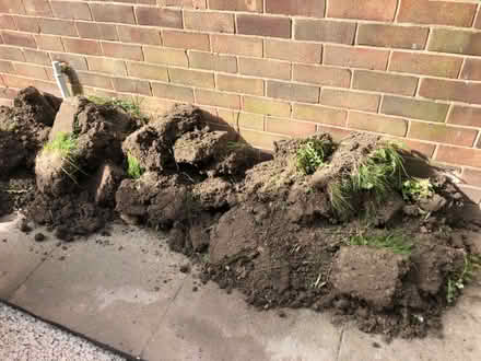 Photo of free Soil with turf (Low Fell) #2