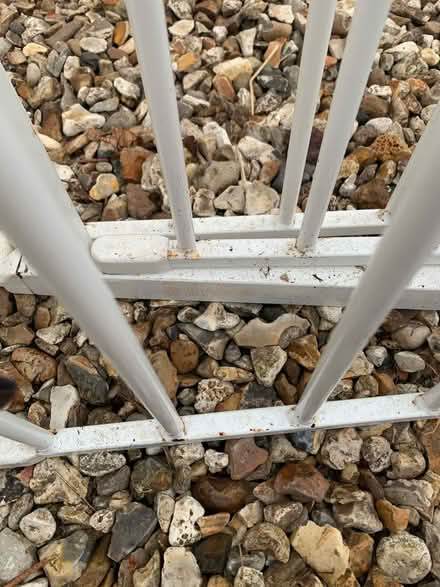 Photo of free Gate (Shillingstone. Dorset) #2