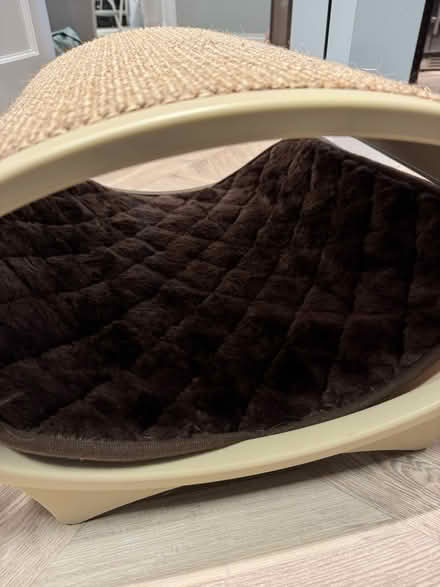 Photo of free Cat bed/scratcher combo (Capitol Hill) #2