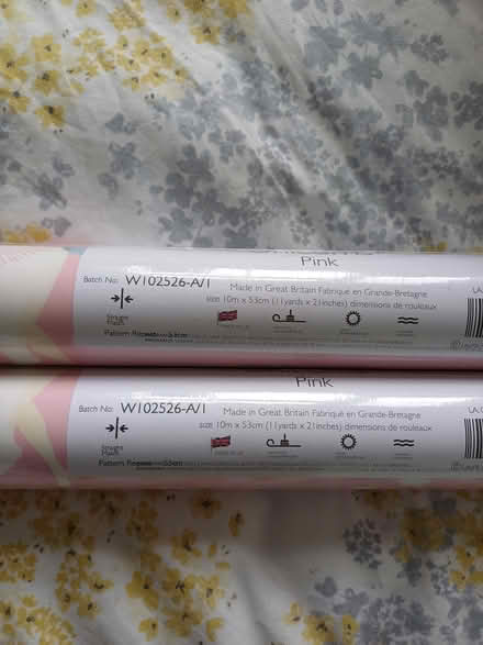 Photo of free Pink unicorn wallpaper (Paignton TQ3) #3