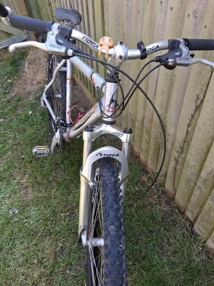 Photo of free Mens Mountain (Herne Bay) #2