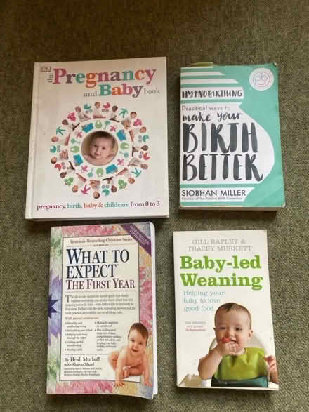Photo of free Baby books (islington N1) #1