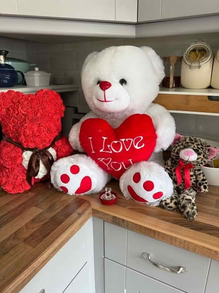 Photo of free Teddy bears (Penge BR3) #1