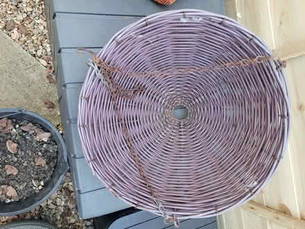 Photo of free Hanging Basket (Whitminster GL2) #1