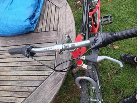 Photo of free Mid size bike (Eh166dd) #4