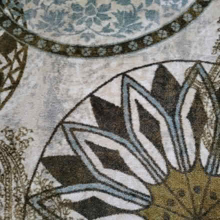 Photo of free 5x7 Area Rug (Nassau County) #3