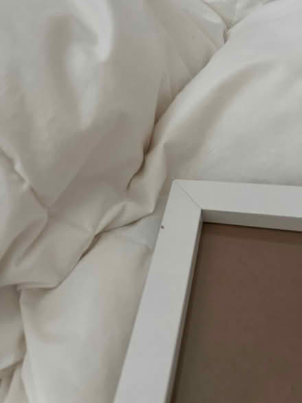 Photo of free White Picture Frame (AL1) #2