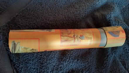 Photo of free Scarab (Heaton NE6) #3