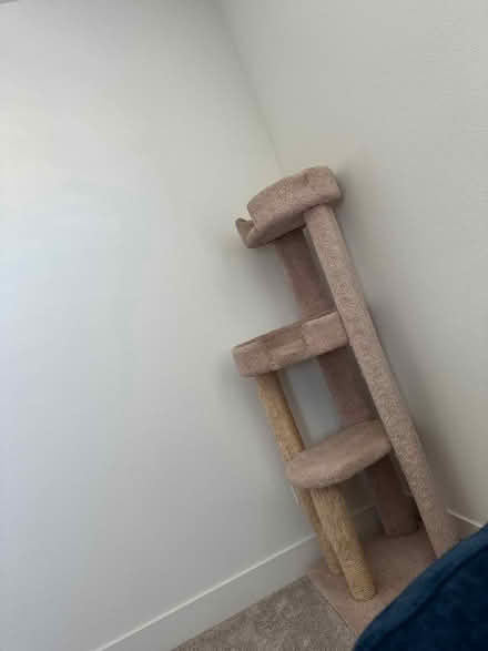 Photo of free Cat Tree (Folsom,CA) #1