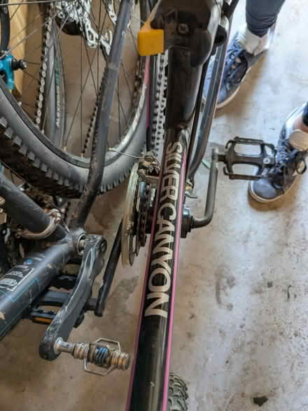 Photo of free pink mountain bike (Parker) #2