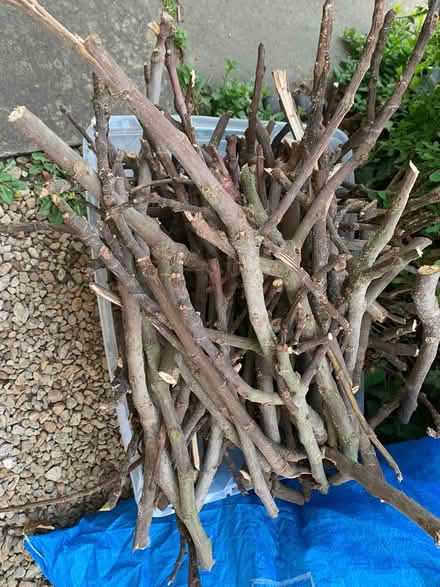 Photo of free Kindling wood (East Oxford OX4) #2