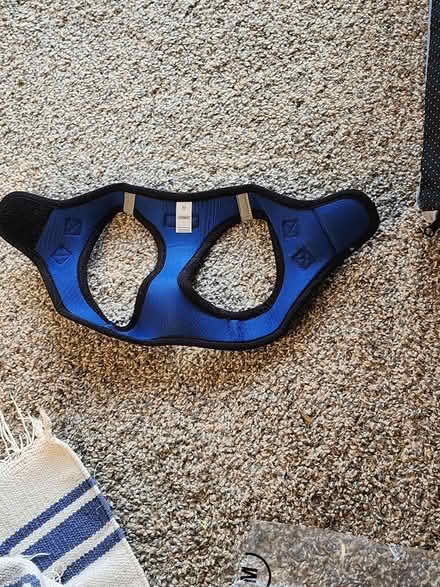 Photo of free New Voyager Dog Harness (Kirkland, WA) #3