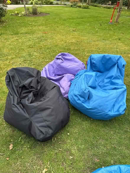 Photo of free Bing bags x3 (Elmdon Heath B91) #1