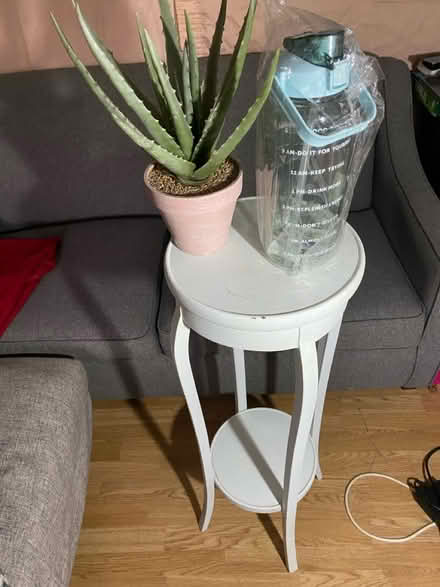 Photo of free Table , fake plant ,water botte (Charlton SE7) #1