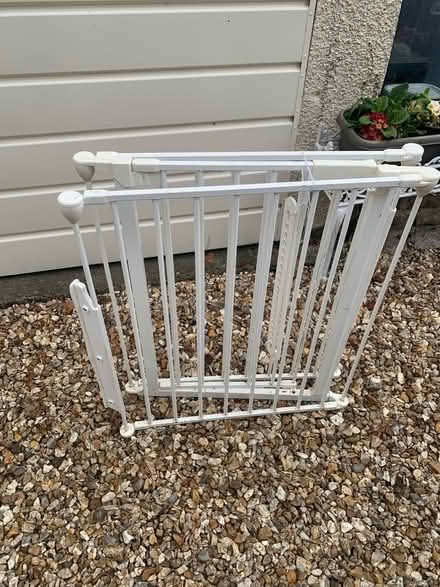 Photo of free Gate (Shillingstone. Dorset) #1