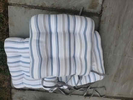 Photo of free Chair cusions (CM21, Sawbridgeworth) #1