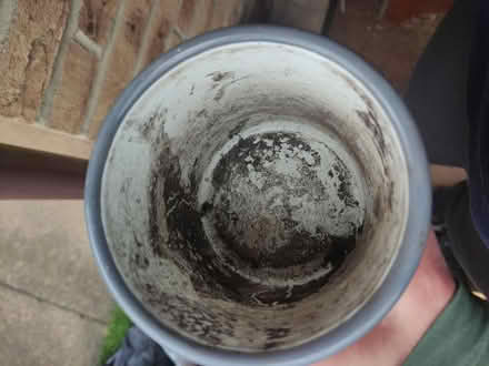Photo of free Small 10-12cm plant pot (Weybridge, KT13) #2