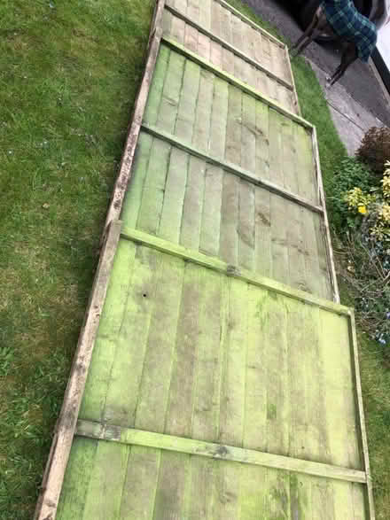 Photo of free Fence panels (Lodge Moor S10) #3