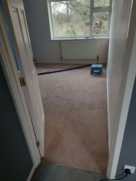 Photo of free Cream/beige carpet (Sherrard's Green WR14) #1