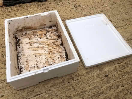 Photo of free Insulated polystyrene box/seed tray (OX4 Iffley) #3