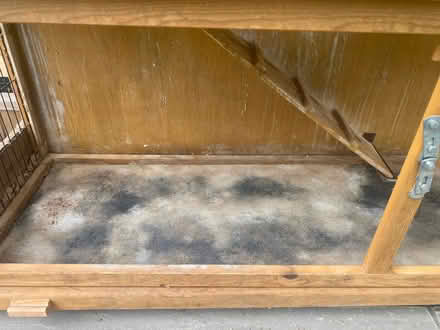 Photo of free Guinea Pig / Rabbit hut (Dockenfield) #4