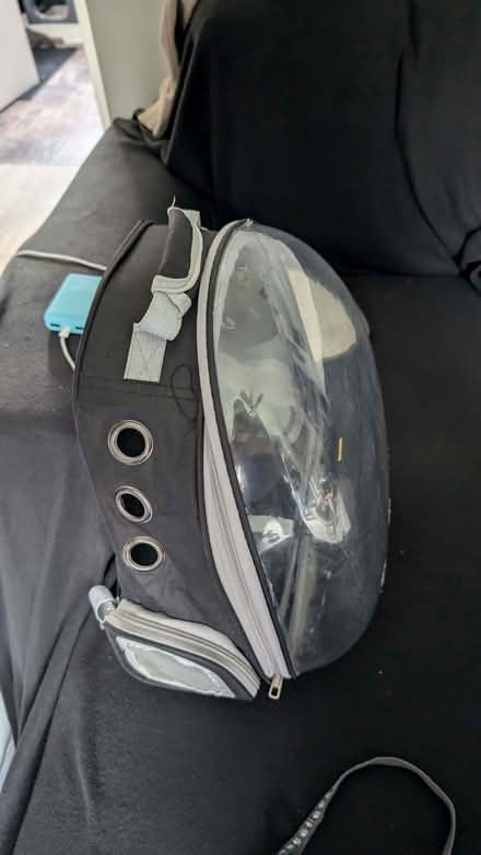 Photo of free Cat or small dog ruck sack and harness (Belle Vue WF1) #2