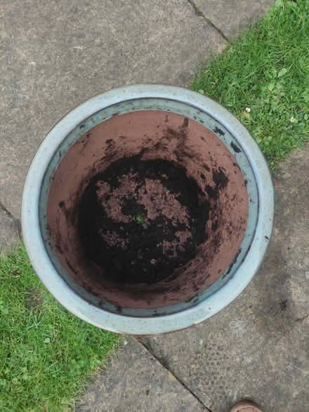 Photo of free Large ceramic plant pot (Weybridge, KT13) #2