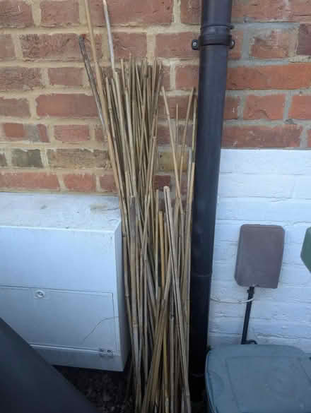 Photo of free Lots of bamboo (OX4 Boulter Street) #1