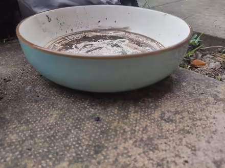 Photo of free Small ceramic plant pots/dish (Weybridge, KT13) #2