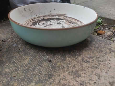 Photo of free Small ceramic plant pots/dish (Weybridge, KT13) #2