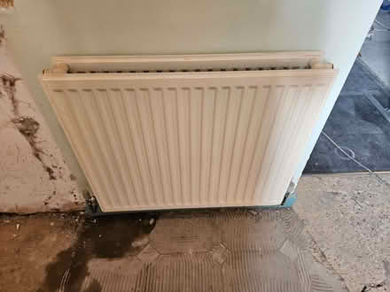 Photo of free Job lot of radiators x 6 double and single (Church RG2) #4