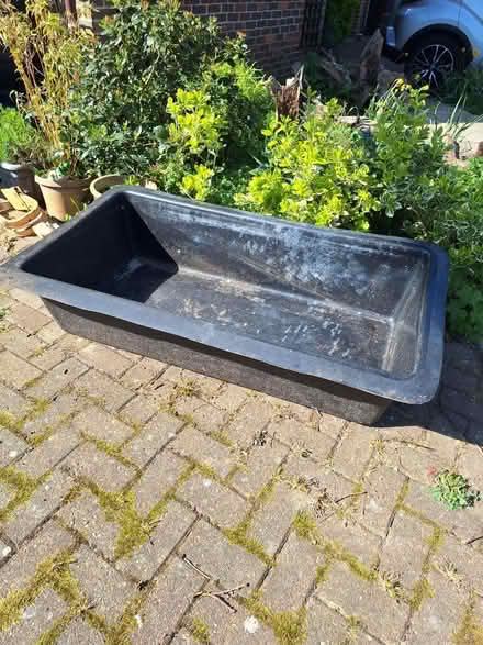 Photo of free Pond (Bexhill) #2