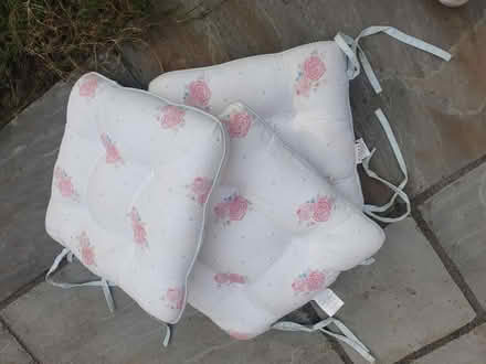 Photo of free Chair cusions (CM21, Sawbridgeworth) #2