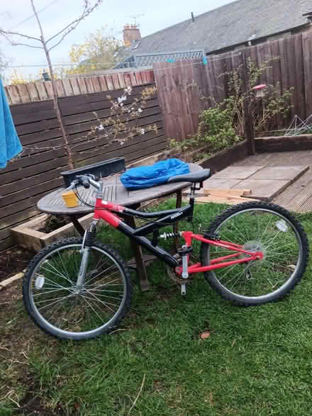 Photo of free Mid size bike (Eh166dd) #1