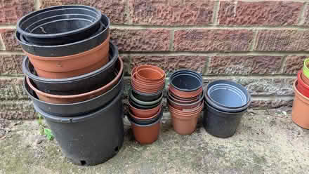 Photo of free Job lot of plant pots (Mousehold NR3) #1