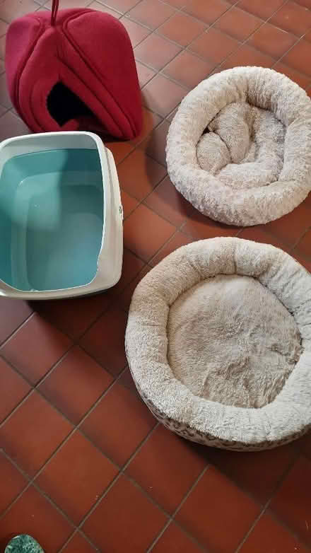 Photo of free Cat beds and litter tray (Broseley TF12) #1