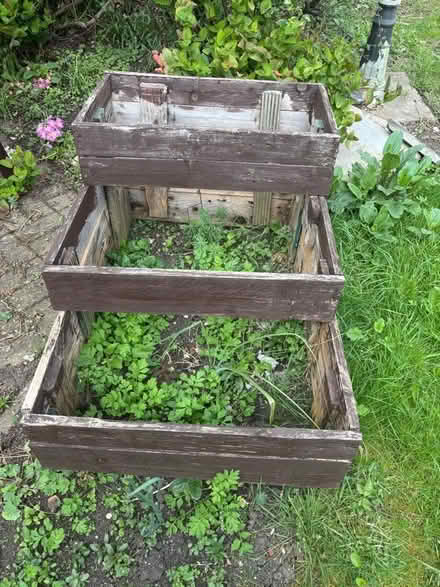 Photo of free DIY planter (Shenley Brook End MK5) #1