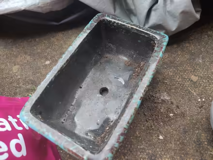 Photo of free Small ceramic plant pots/dish (Weybridge, KT13) #3