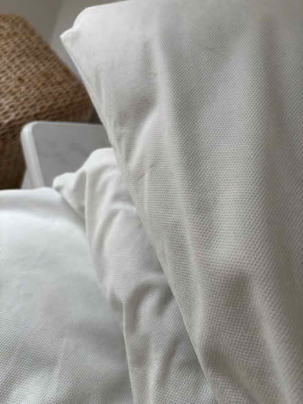 Photo of free 4 synthetic pillows - Great condition in washable covers (Prestwick NE20) #3