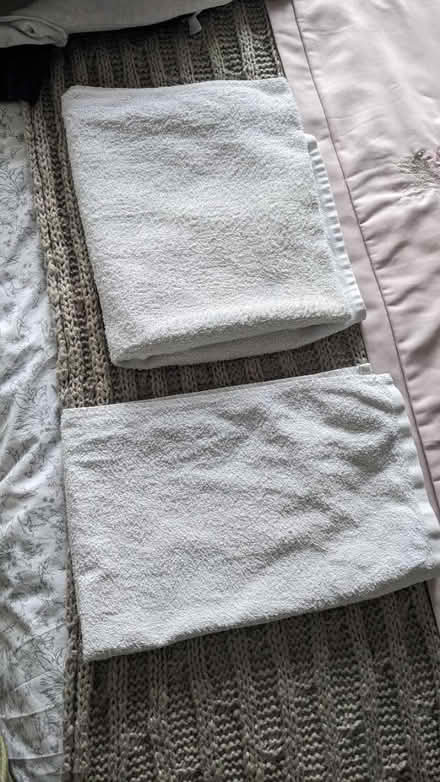 Photo of free Two old towels for pets (Low Fell NE9) #1