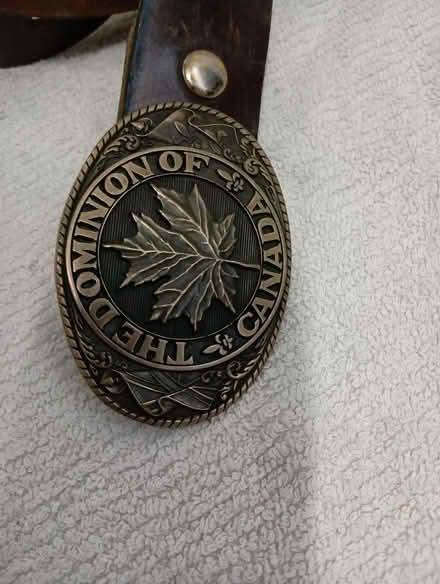 Photo of free leather belt; large brass buckle (Yonge/Sheppard) #2