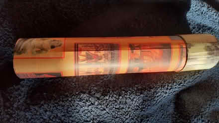 Photo of free Scarab (Heaton NE6) #2