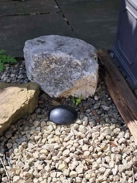 Photo of free Various stones/boulders (Greenhill S8) #4
