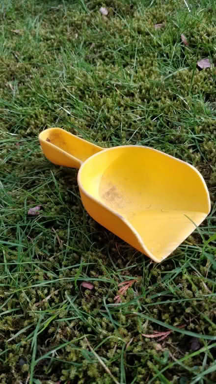 Photo of free Beech/Sandpit/Play Cooking Toys (Harrogate HG2) #2