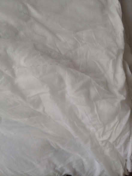 Photo of free Single Duvet 13.5tog (Waterlooville PO8) #1