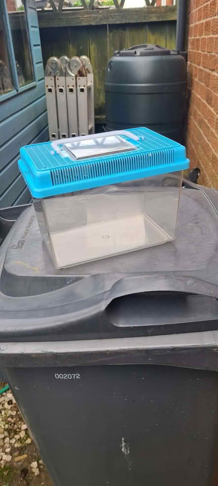 Photo of free Reptile or small mammal carrying case (Crag Bank LA5) #2