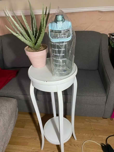 Photo of free Table, fake plant , water bottle (Charlton SE7) #1